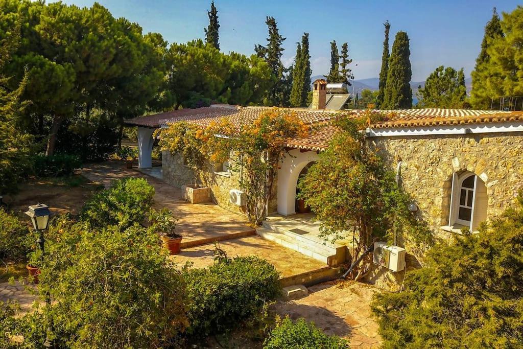 Villa Artemis In Small Kounoupi פורטו הלי מראה חיצוני תמונה