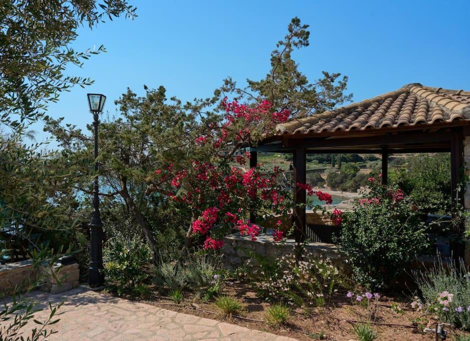Villa Artemis In Small Kounoupi פורטו הלי מראה חיצוני תמונה