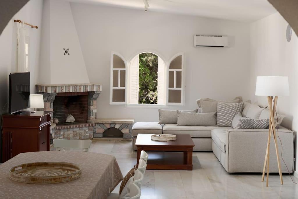 Villa Artemis In Small Kounoupi פורטו הלי מראה חיצוני תמונה